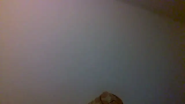 Kaappi1967 webcam