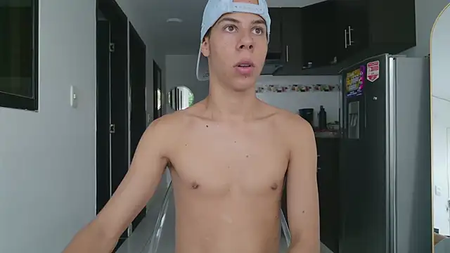 grey___27 webcam