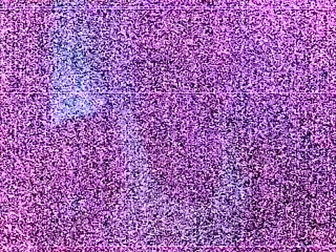 elturcudito webcam