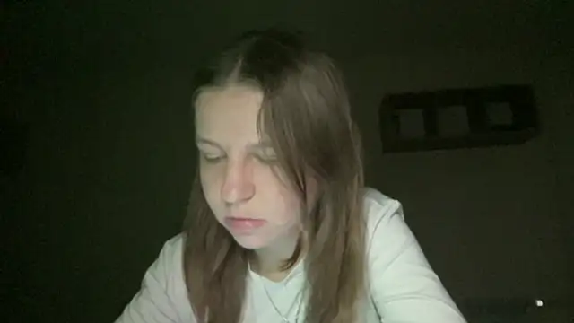 HwaTrippel webcam