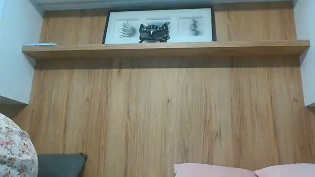 Lantti_Irres webcam