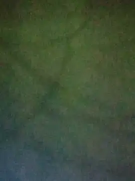 CCashman-MamaO webcam