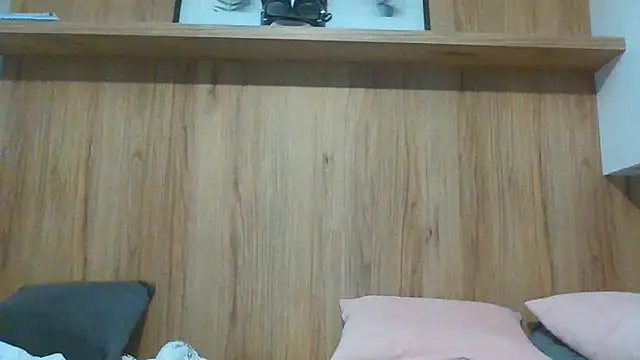 Lantti_Irres webcam