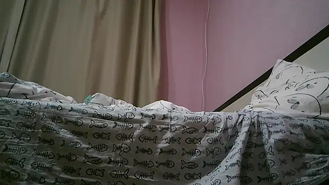 pglsmm webcam