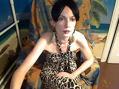Bastet12 webcam
