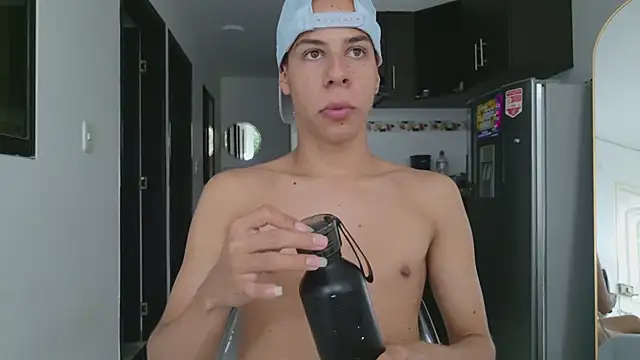 grey___27 webcam