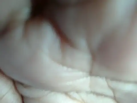 Naughtymis