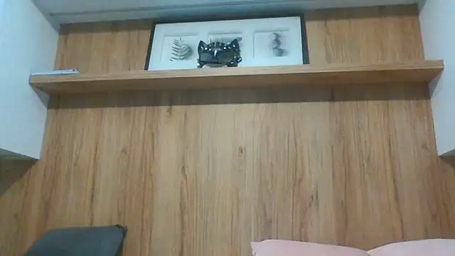 Lantti_Irres webcam
