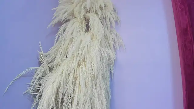 miajhonsonx webcam
