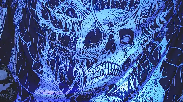 mikaskullcs webcam
