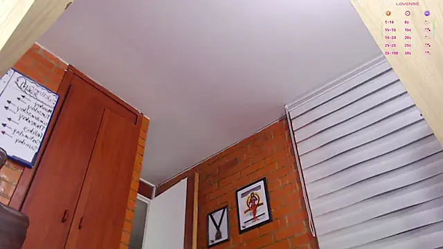 Salome-sw webcam