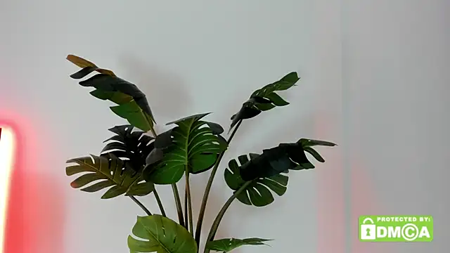 lovesweetash webcam