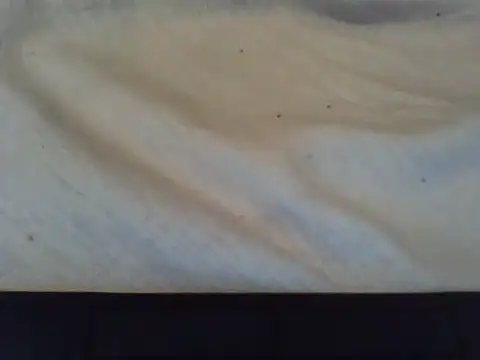 Queentafa1 webcam