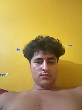 cannonWithMuscles webcam