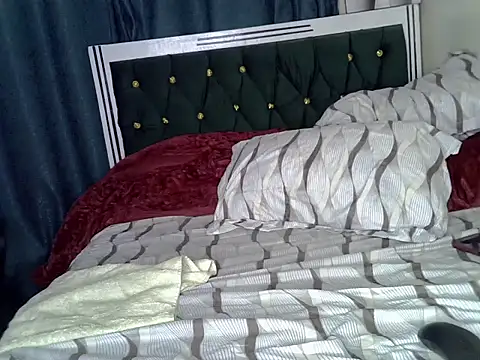 sheriiy webcam