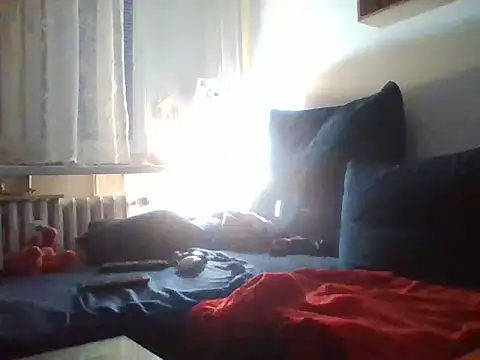 82liska webcam