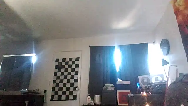 Antoniothedon webcam
