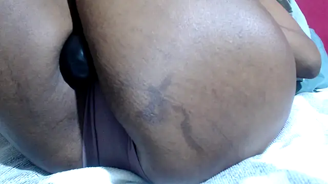 Bracylia webcam