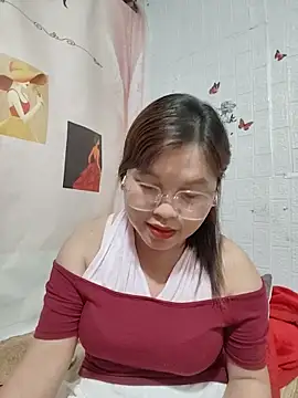 Cover-baa webcam