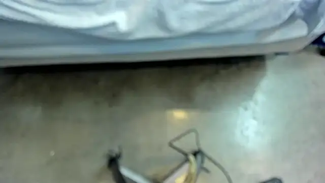 zara_lopez webcam