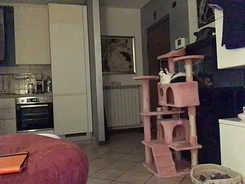 coronas67 webcam
