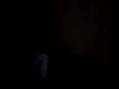 pumapatri webcam