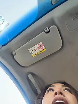 Meraryy webcam