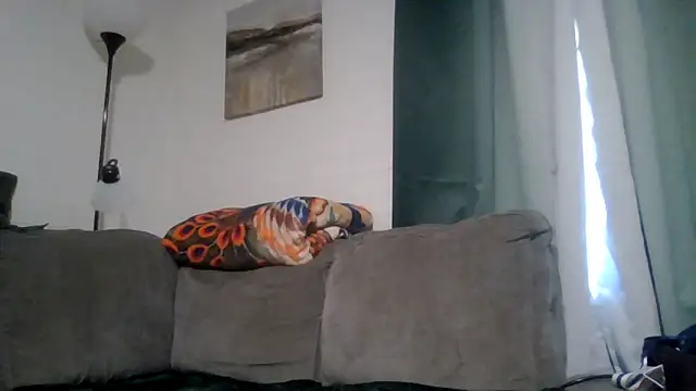 TWiSTYTheTwizted webcam