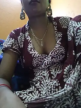 jasss-12x webcam