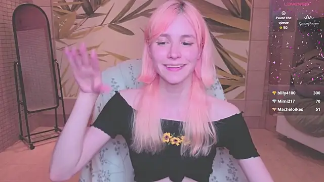 fleximona webcam
