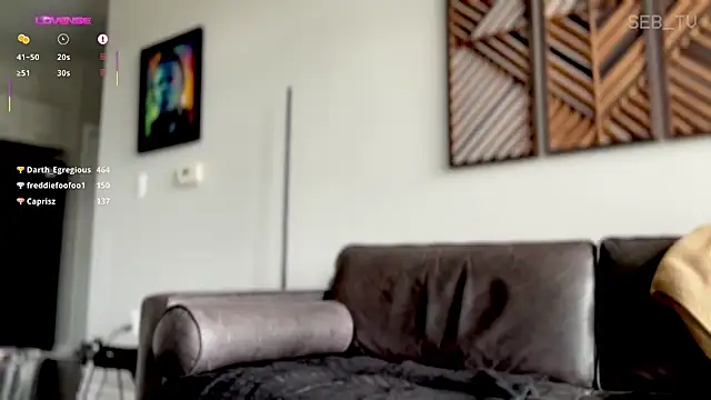 seb_tv webcam