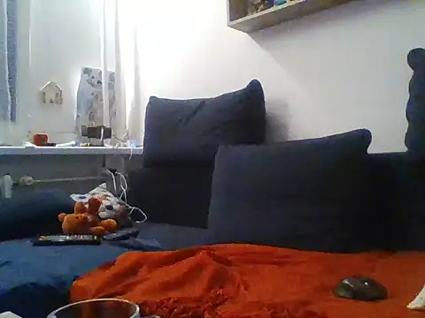 82liska webcam