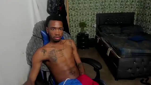Kofi_exotic_2 webcam