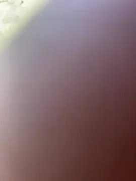 TiffaneyLove webcam