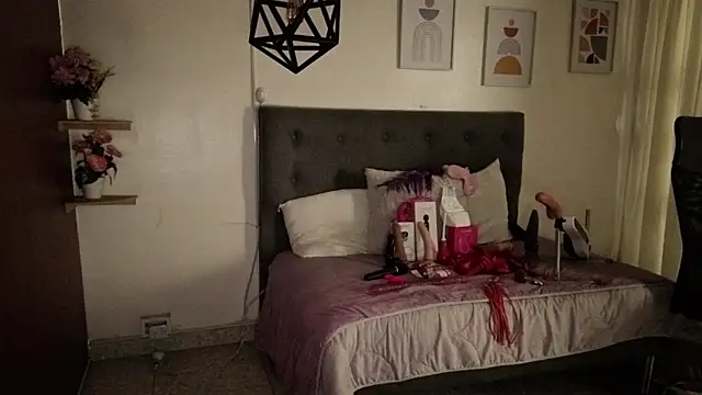 avans_15 webcam