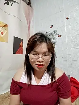 Cover-baa webcam