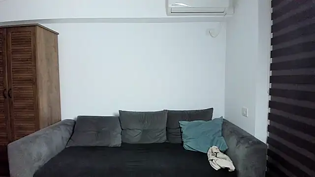 ZkkBlitz webcam