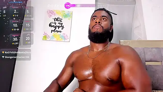 lebron_million webcam