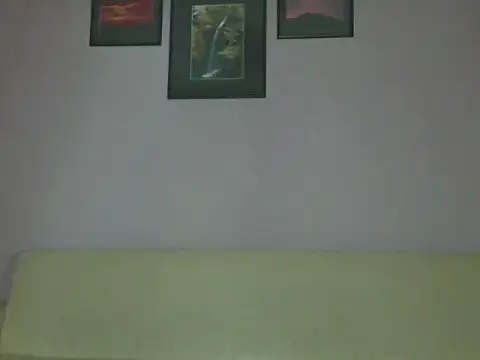 anittac14 webcam