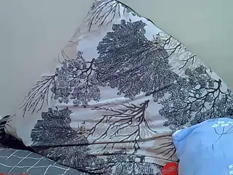 verl1 webcam