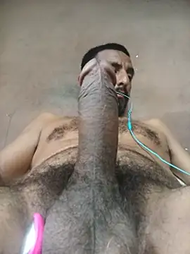 Longthick26cm webcam