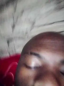 DigCrok webcam