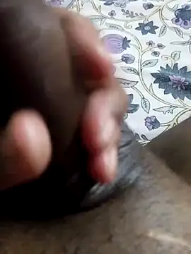 desi_pb02 webcam