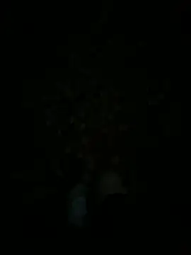 funlad245 webcam