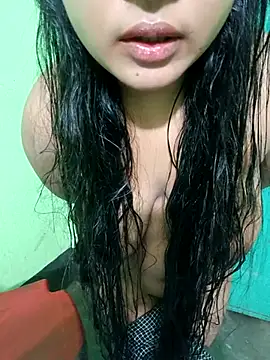 Turshaio webcam