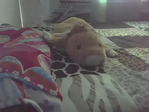 kristall1234 webcam
