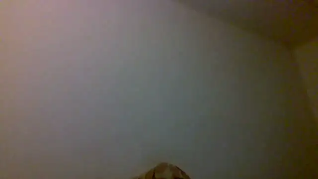 Kaappi1967 webcam