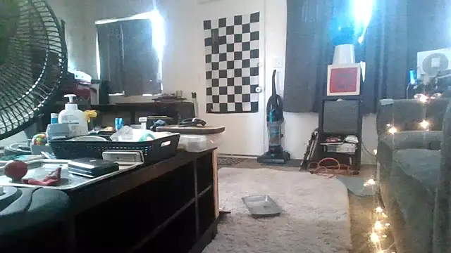Antoniothedon webcam