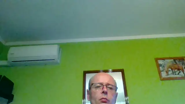 Tiger202441 webcam