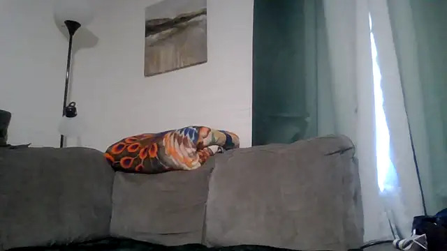 TWiSTYTheTwizted webcam